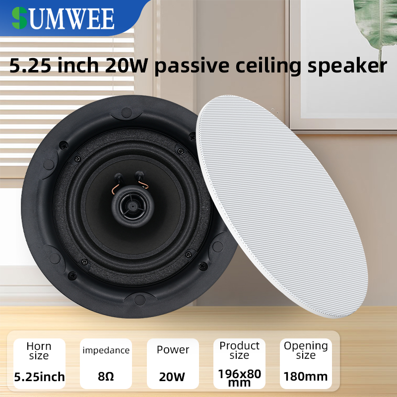 Audio Music System For Home - 5,25 inch 8 ohm plafondluidspreker coaxiaal